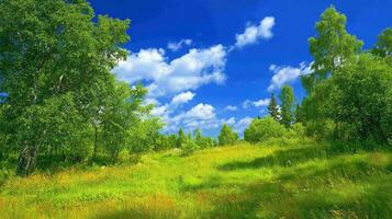 High resolution summer background photo of scenery