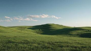 High resolution photo of summer open field background