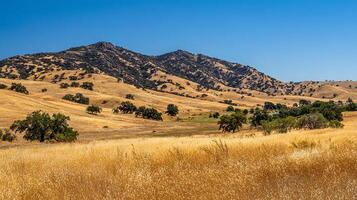 Bright and sharp summer background nature photo