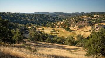 Summer landscape bathed in clear blue sunlight background photo