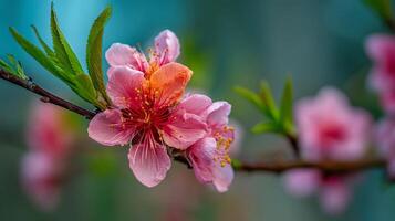 Tree photo of flower in macro with lifelike natural colors