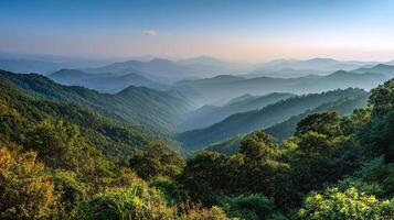 Nature photo in realistic soft lighting and depth of beauty