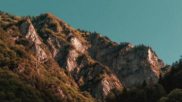 Lush and detailed natural scenery in high resolution with beautiful view photo