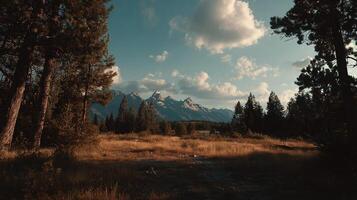 Outdoor scenery captured with high-resolution sharpness and beautiful view photo