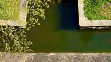 A serene view of a bridge crossing a calm waterway, surrounded by vibrant greenery and lush foliage photo