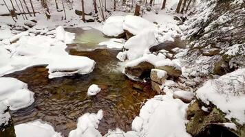 Winter forest and snowy river. High quality 4k footage photo