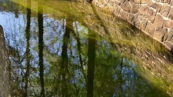 Enjoy a serene view of a flowing stream, a stone wall, and lush grass, creating a picturesque scene photo