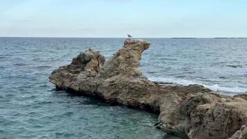 A stunning rocky formation in the ocean, with a seagull perched on top, evoking tranquility and calmness photo