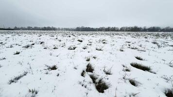 A vast, serene snowcovered field stretches under a gray sky, perfectly capturing winters quiet, beautiful charm photo