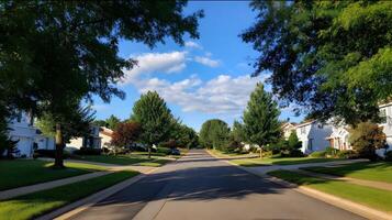 Quiet suburban street with lush trees and blue sky creating a peaceful and inviting atmosphere scene photo