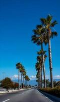 Scenic highway drive with towering palm trees against a clear blue sky and distant mountain views California photo