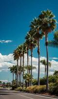 Palm trees stand majestically under a bright blue sky creating a serene tropical paradise atmosphere ideal for vacation travel photo