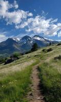 Pathway leading to majestic snow capped mountains under a vibrant blue sky with fluffy white clouds scenic trail adventure photo
