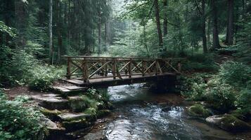 Wooden bridge crossing a stream in a dense forest creating a serene and peaceful woodland scenery photo