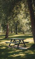 Serene picnic spot awaits beneath the dappled sunlight filtering through lush green trees in the park photo