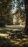 Rustic picnic table invites peaceful outdoor dining under the shade of towering trees on a sunny day photo