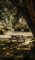 Rustic picnic table nestled under the canopy of trees creating a serene and inviting outdoor setting photo