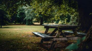 Secluded wooden picnic table under a tree canopy inviting relaxation in a serene park setting photo