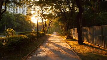 Golden hour paints a serene pathway lined with lush trees and greenery in an urban landscape photo