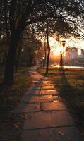 Golden hour paints a serene city park walkway with sunlight streaming through autumn foliage scenery landscape photo