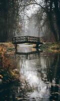 Ethereal bridge scene unfolds in tranquil woodland landscape with water reflections and moody atmosphere inviting exploration photo