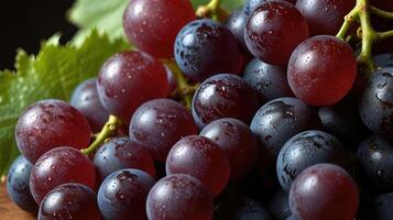 A bunch of grapes on a table photo