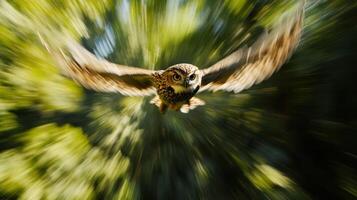 A blurry image of an owl flying through the air photo