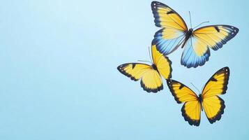 Three butterflies flying in the air on a blue background photo