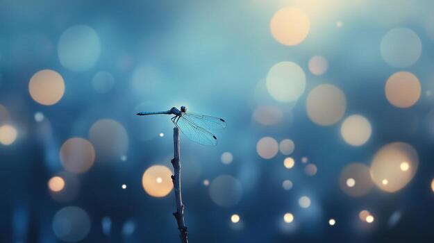 A dragonfly sits on a stick in front of a blurry background photo