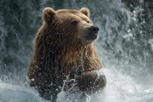 A large brown bear stands in shallow water, splashing as it searches for fish, surrounded by a tranquil, flowing river backdrop photo
