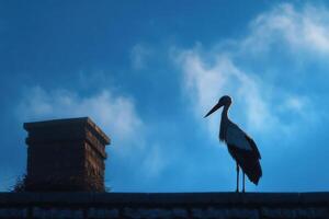 A stork stands motionless on a chimney, silhouetted by a twilight sky filled with soft clouds as day transitions to night photo