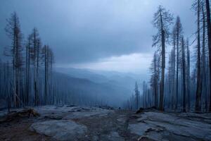 Desolation prevails in a burnt forest with blackened trees, rocky terrain, and distant blue mountains beneath a gloomy sky photo