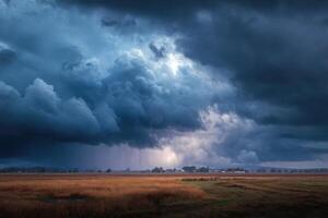 Dark storm clouds gather over a golden grassy landscape, hinting at impending rain during the late afternoon photo