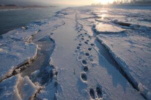 Footsteps trace a path across a frozen river, reflecting the soft glow of the sunrise in a serene winter setting photo
