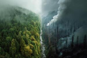 A dramatic contrast unfolds between the vibrant green forest and the gray smoke from a nearby forest fire, highlighting environmental impact photo