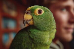 A vibrant green parrot rests on a person's shoulder, showcasing its bright feathers while the person smiles softly in a warm indoor space photo
