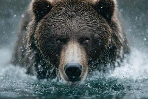 A grizzly bear swims powerfully through a river, sending droplets into the air, showcasing its strength and presence in the wild photo