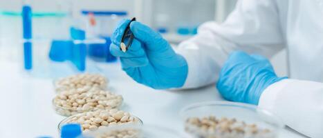 Scientist check chemical whole grains residues in laboratory. Control experts inspect the concentration of chemical residues. hazards, standard, prohibited substances, contaminate Microbiologist. photo