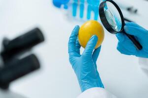 Scientist use magnifying glass to check physical occur from chemical on fruit and vegetable residues in laboratory. inspect the concentration of chemical residues. find prohibited substances photo