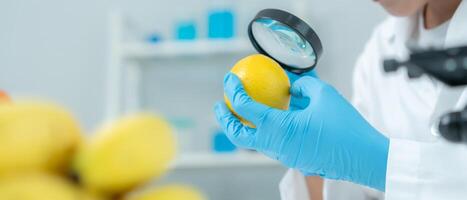 Scientist use magnifying glass to check physical occur from chemical on fruit and vegetable residues in laboratory. inspect the concentration of chemical residues standard find prohibited substances, photo