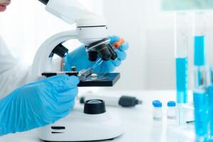 Scientist check chemical whole grains residues in laboratory. Control experts inspect the concentration of chemical residues. hazards, standard, prohibited substances. contaminate, Microbiologist photo