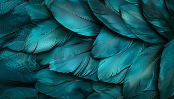 Soft turquoise feathers form a beautiful and textured arrangement, showcasing the intricate designs and natural elegance of the avian world photo