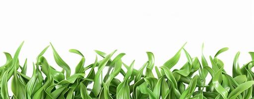 Lush green grass with vibrant blades stretches gracefully, forming a lively border that enhances any space with freshness and vitality photo