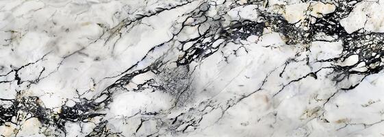 Intricate patterns of white marble with bold black veins create a luxurious backdrop, perfect for modern interiors or artistic projects photo