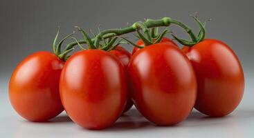 Fresh ripe tomatoes on the vine, a close-up shot against a neutral background photo