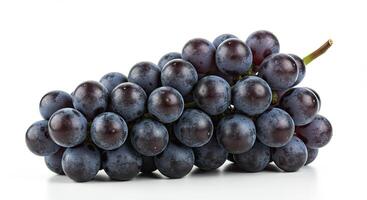 Close-up studio shot of a ripe bunch of dark purple grapes on a white background photo