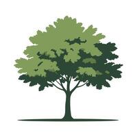 Green Leafy Tree with Thick Foliage and Brown Trunk, Maple Tree vector