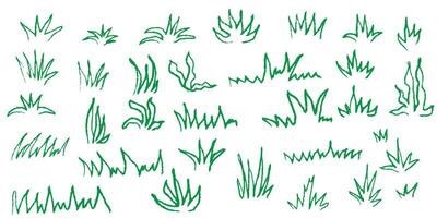 Green grass line background in crayon and pastel texture. Hand drawn doodle style sketch with pencil marker and chalk strokes. green field element for garden or nature themed children design. vector