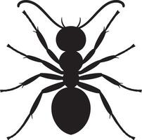 Black Silhouette of an Ant Detailed View Showing Six Legs Antennae and Body Segments Isolated on White Background Graphic Illustration vector