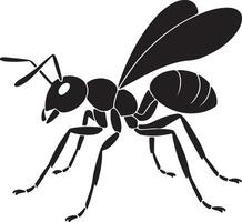 Black Silhouette of an Ant with Wings Detailed Illustration Showing Body Segments Legs and Antennae Against White Background vector